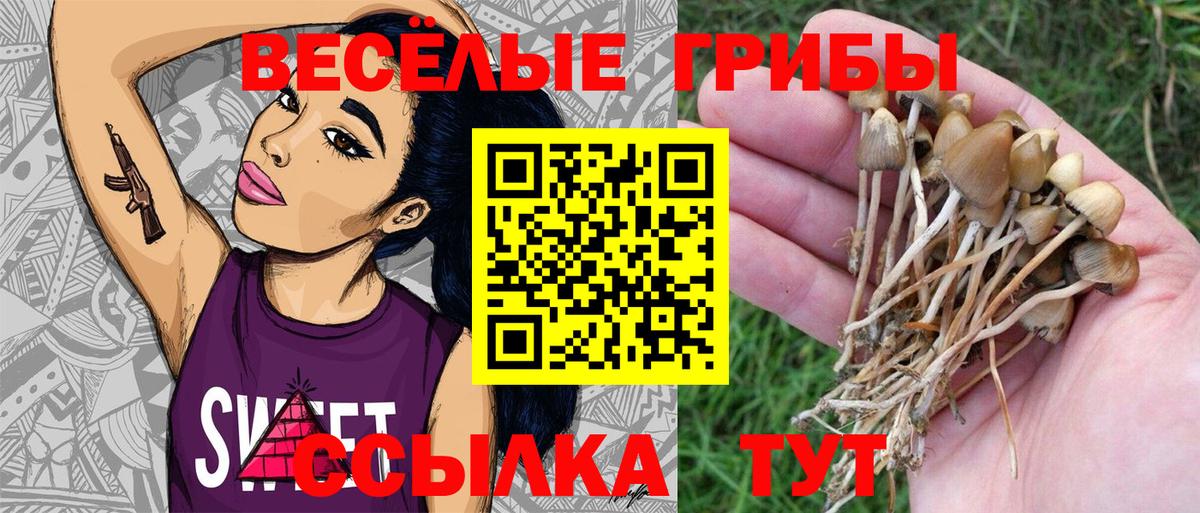 Псилоцибиновые грибы прущие грибы Нижний Тагил